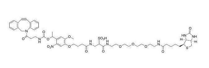 生物素-WS-PC-DBCO、WS PC DBCO-Biotin